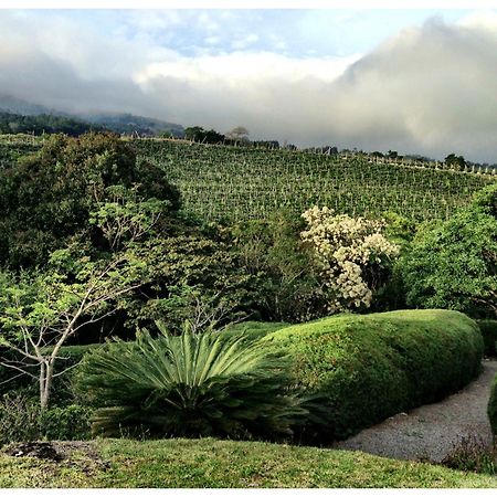 Coffee Garden Ranch Costa Rica Leilighet Concepcion  Eksteriør bilde