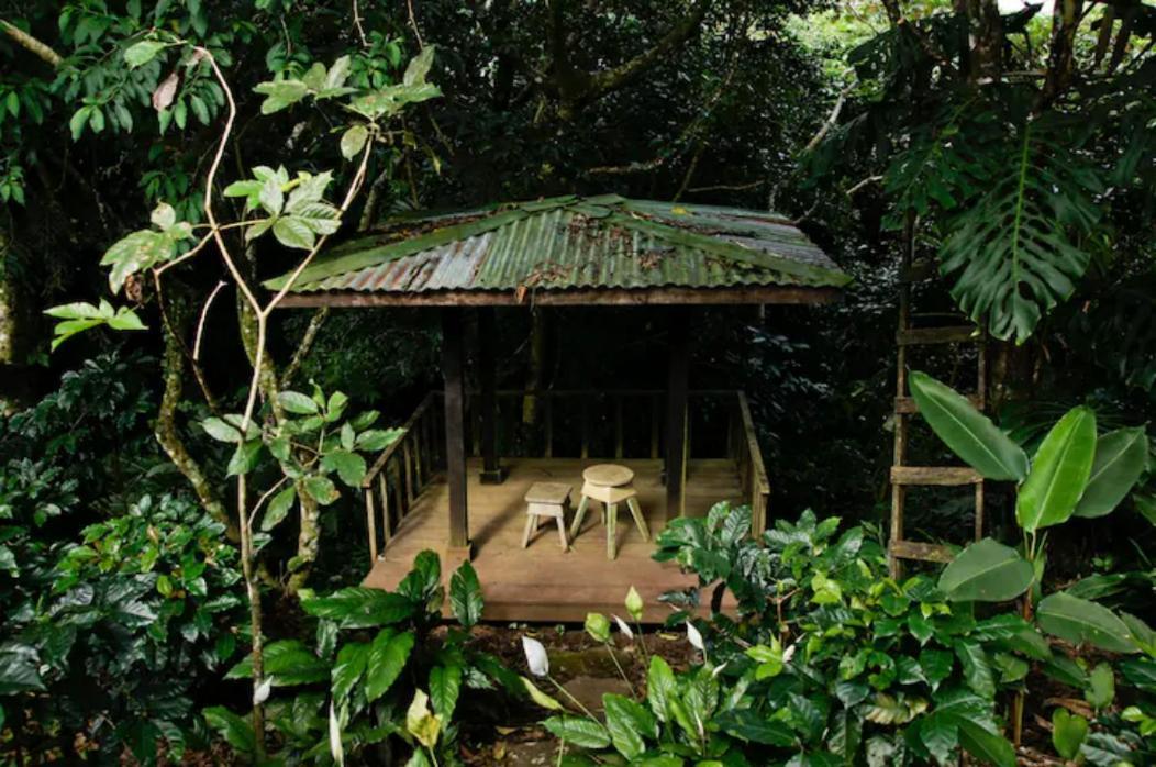 Coffee Garden Ranch Costa Rica Leilighet Concepcion  Eksteriør bilde