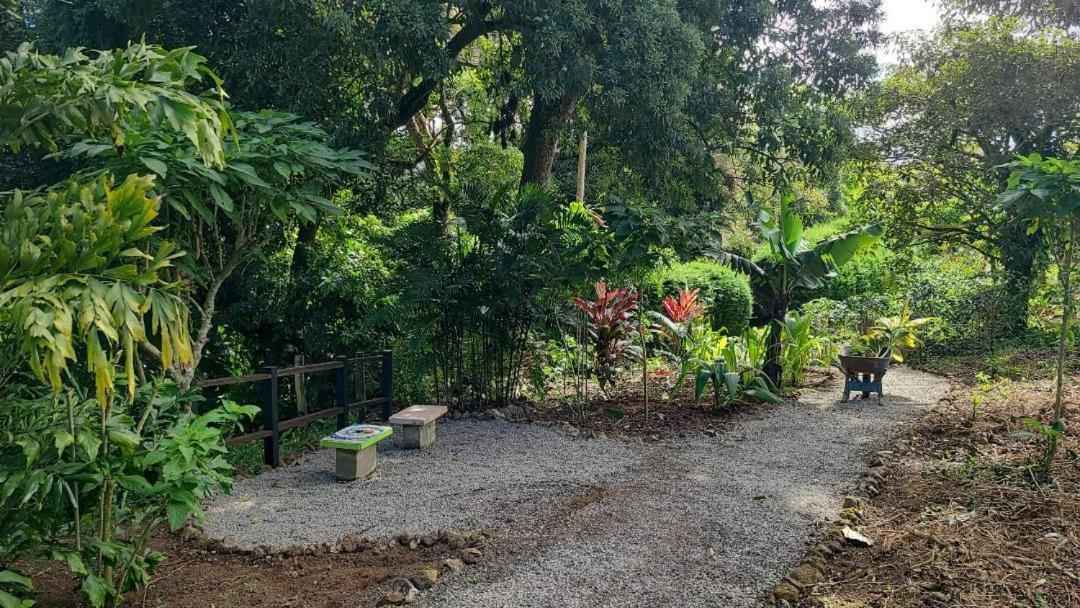 Coffee Garden Ranch Costa Rica Leilighet Concepcion  Eksteriør bilde